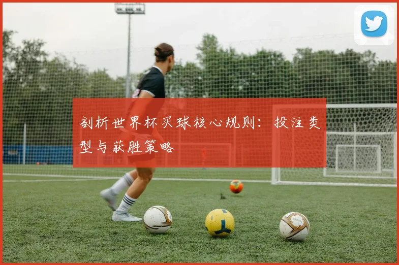 剖析世界杯买球核心规则：投注类型与获胜策略
