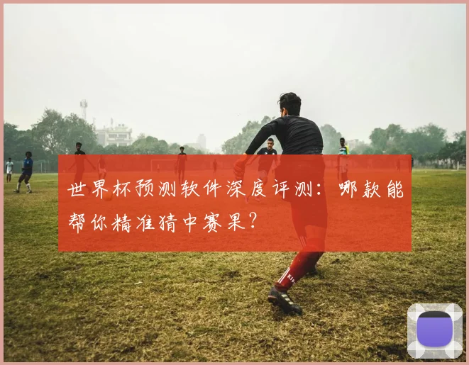 世界杯预测软件深度评测：哪款能帮你精准猜中赛果？