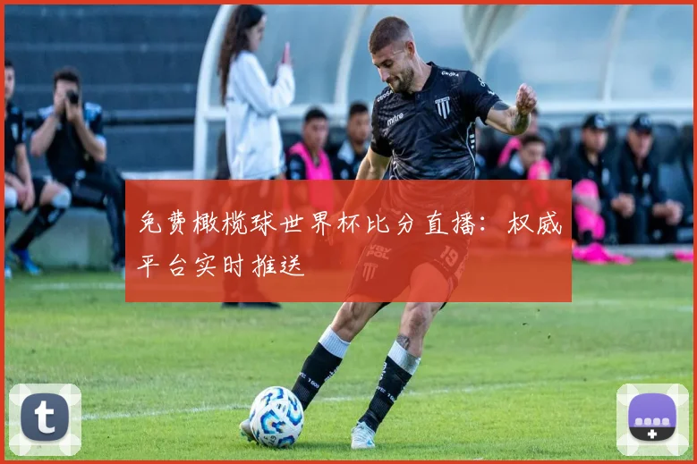 免费橄榄球世界杯比分直播：权威平台实时推送