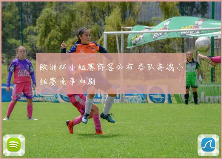 欧洲杯小组赛阵容公布 各队备战小组赛竞争加剧