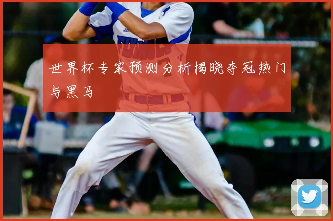 世界杯专家预测分析揭晓夺冠热门与黑马